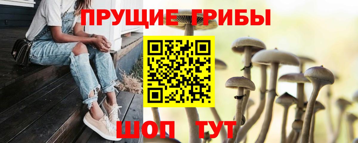 Лянтор  Псилоцибиновые грибы прущие грибы  Галлюциногенные грибы Cubensis  Вход с VPN 